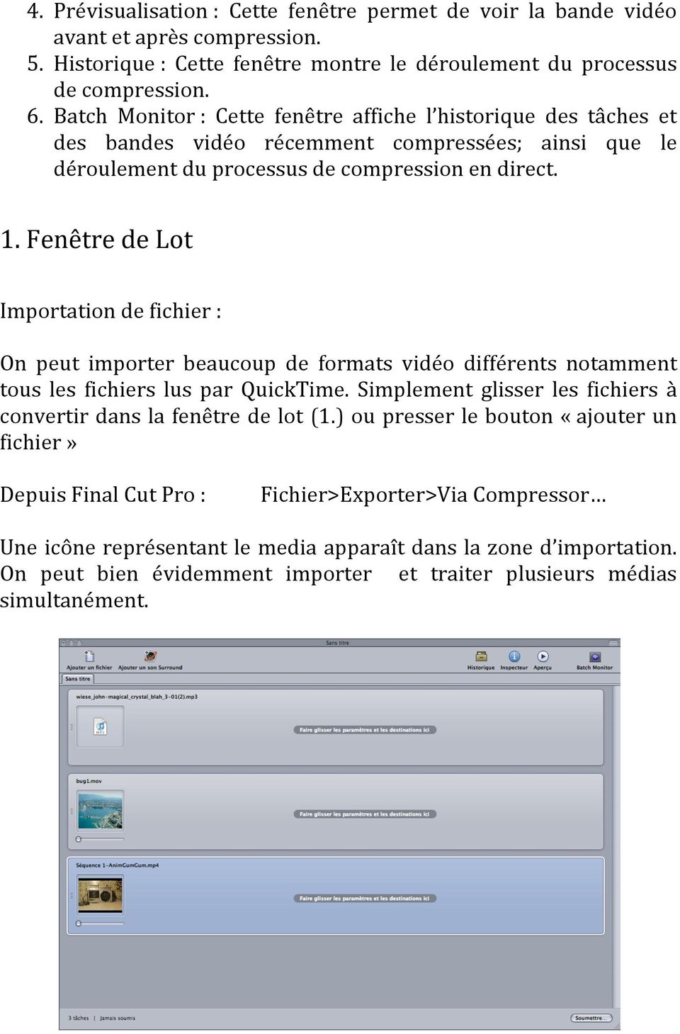 Fenêtre de Lot Importation de fichier : On peut importer beaucoup de formats vidéo différents notamment tous les fichiers lus par QuickTime.