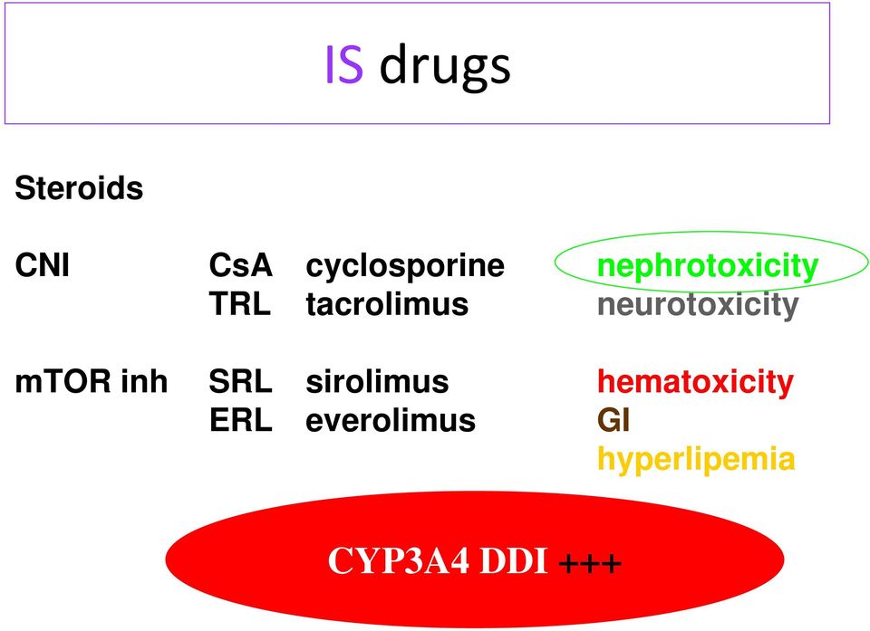 neurotoxicity mtor inh SRL sirolimus