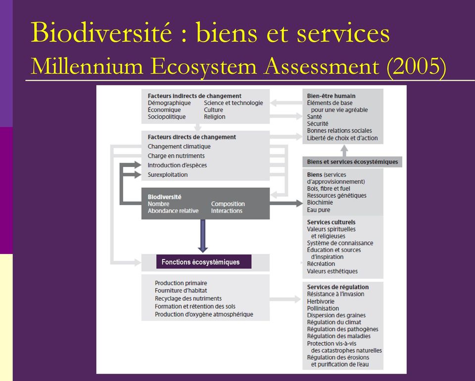 Ecosystem Assessment