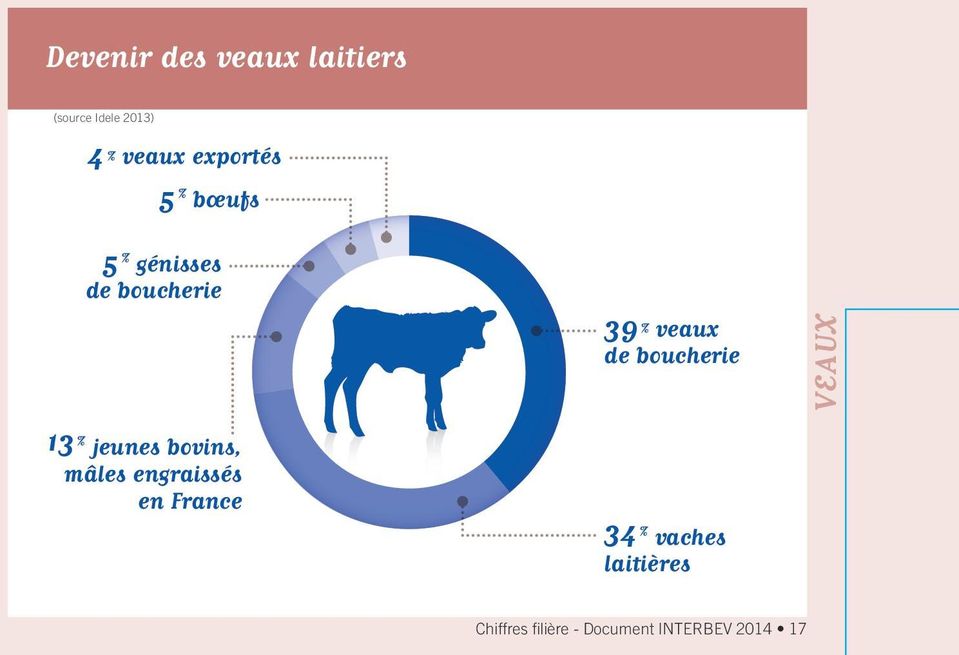 bovins, mâles engraissés en France 39 % veaux de boucherie 34