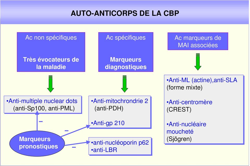 Anti-mitochrondrie 2 (anti-pdh) Anti-gp 210 anti-nucléoporin p62 anti-lbr Ac marqueurs de MAI