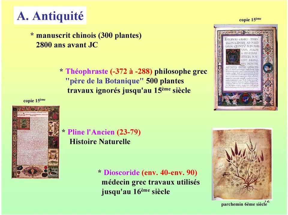 ignorés jusqu'au 15 ème siècle * Pline l'ancien (23-79) Histoire Naturelle * Dioscoride