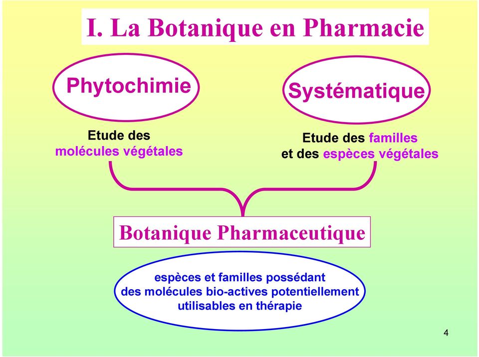 végétales Botanique Pharmaceutique espèces et familles