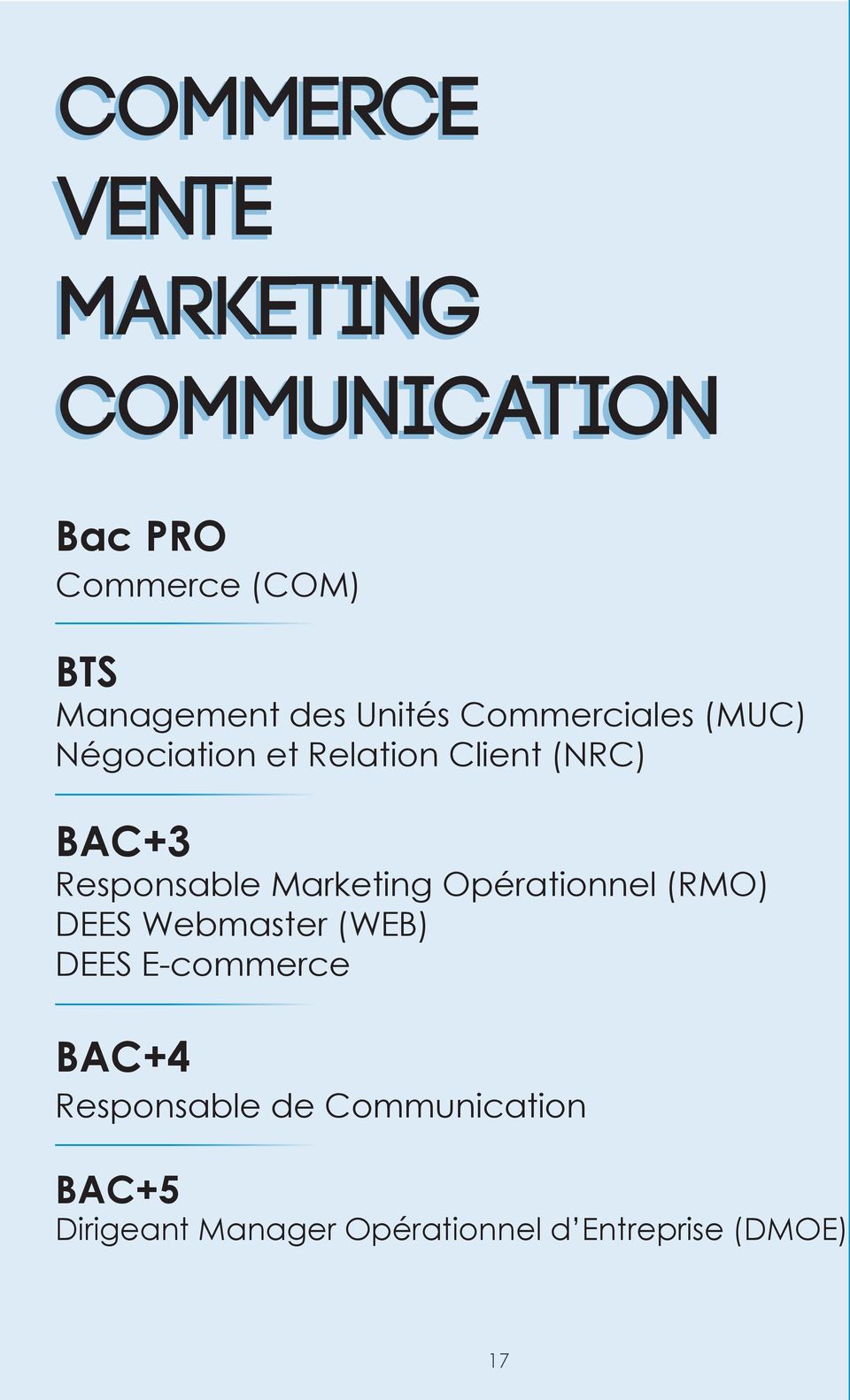 Marketing Opérationnel (RMO) DEES Webmaster (WEB) DEES E-commerce BAC+4
