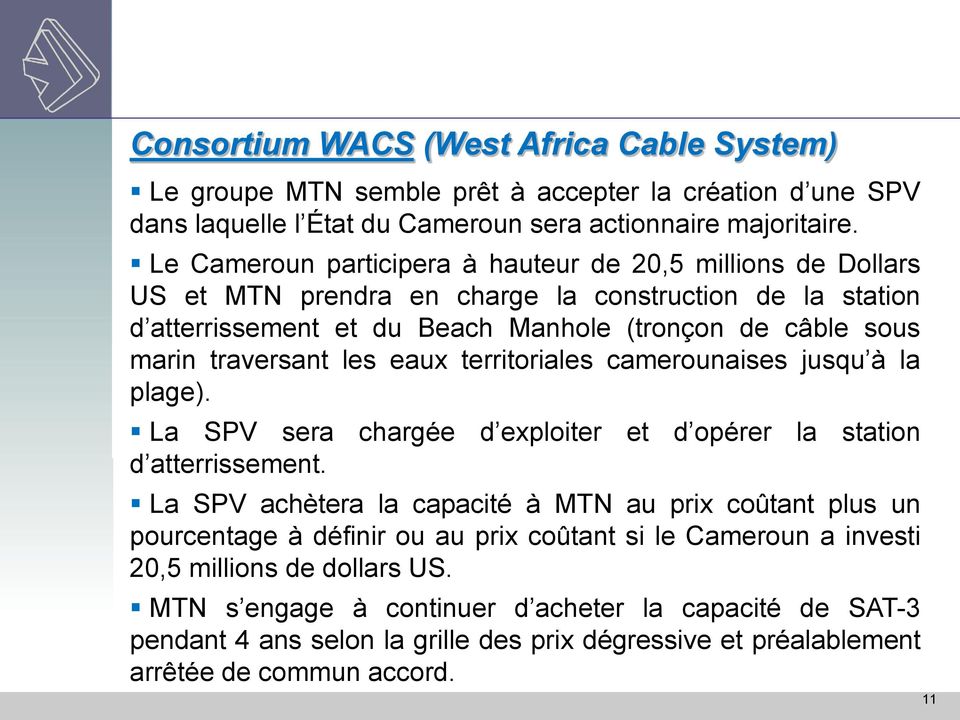 les eaux territoriales camerounaises jusqu à la plage). La SPV sera chargée d exploiter et d opérer la station d atterrissement.