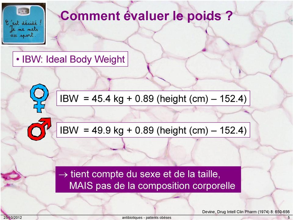 4) IBW = 49.9 kg + 0.