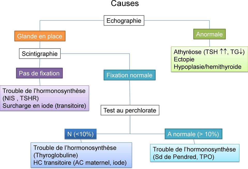 Athyréose (TSH, TG ) Ectopie Hypoplasie/hemithyroide N (<10%) A normale (> 10%) Trouble de l