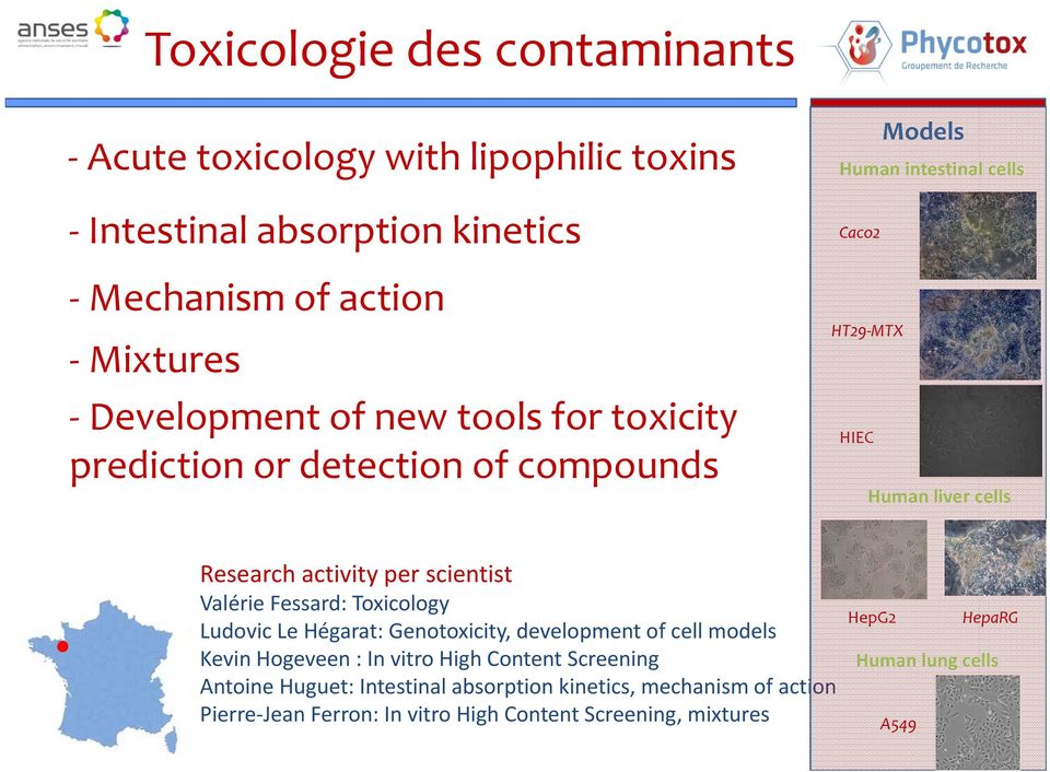 scientist Valérie Fessard: Toxicology Ludovic Le Hégarat: Genotoxicity, development of cell models Kevin Hogeveen : In vitro High Content Screening