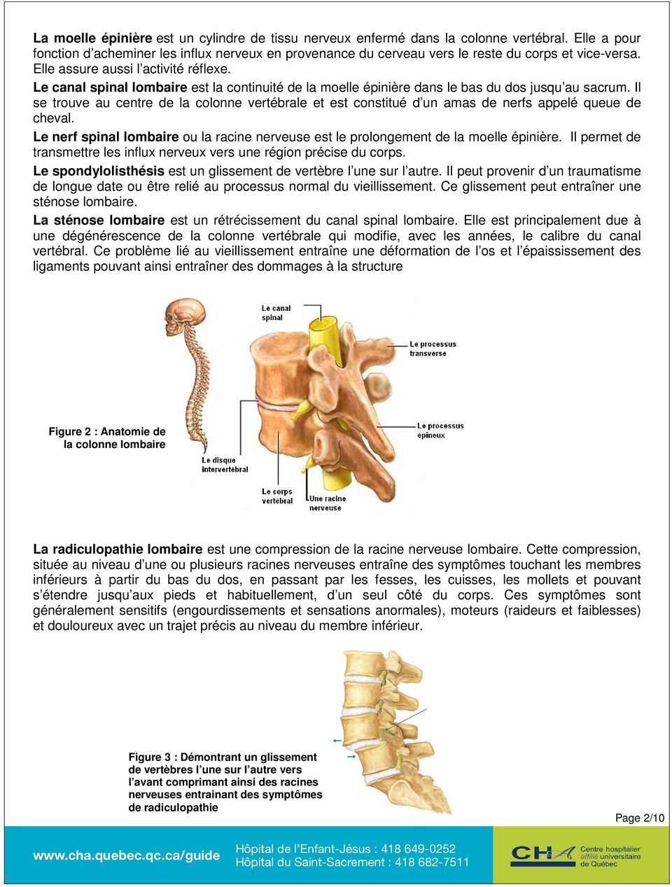 Le canal spinal lombaire est la continuité de la moelle épinière dans le bas du dos jusqu au sacrum.