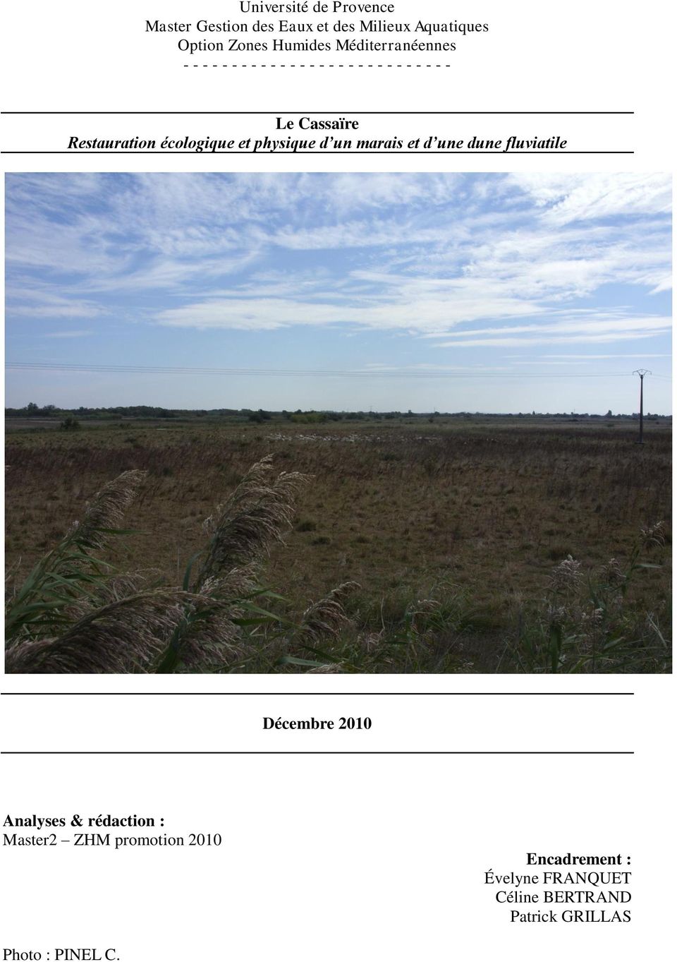 écologique et physique d un marais et d une dune fluviatile Décembre 2010 Analyses & rédaction :