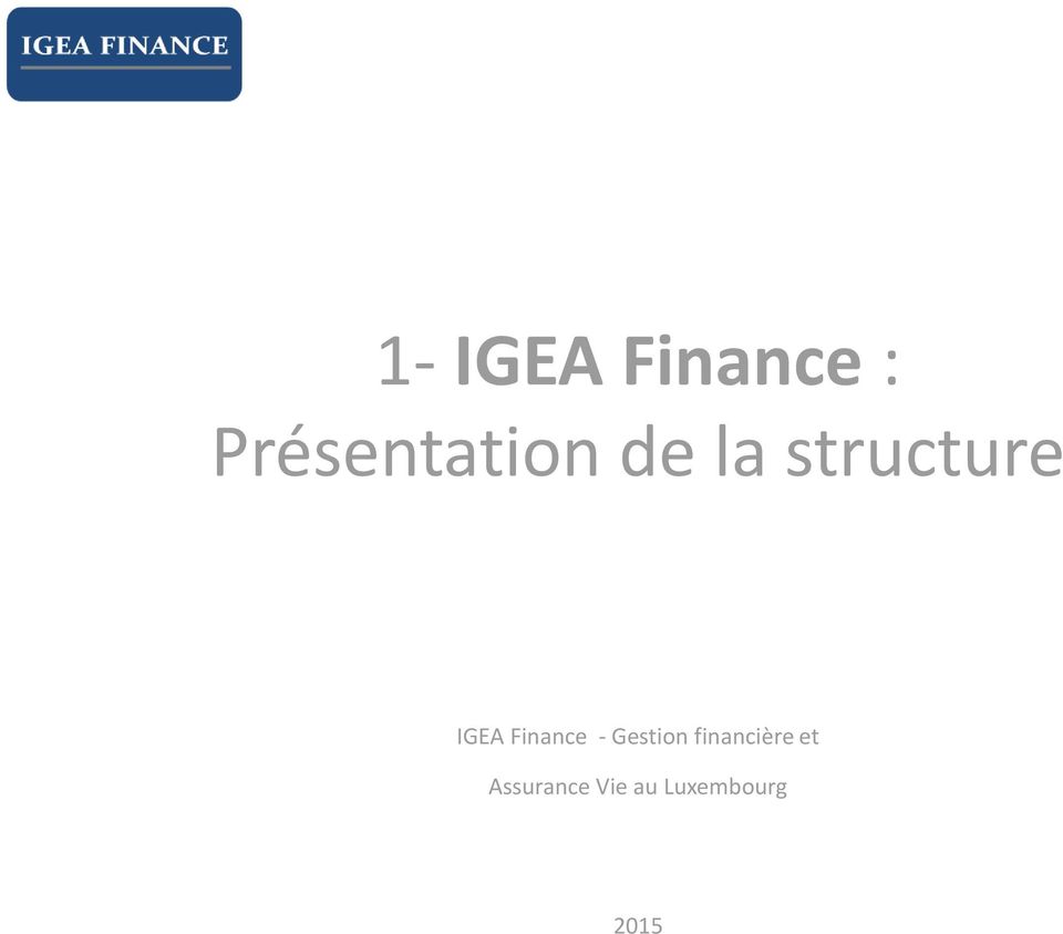 structure IGEA Finance -