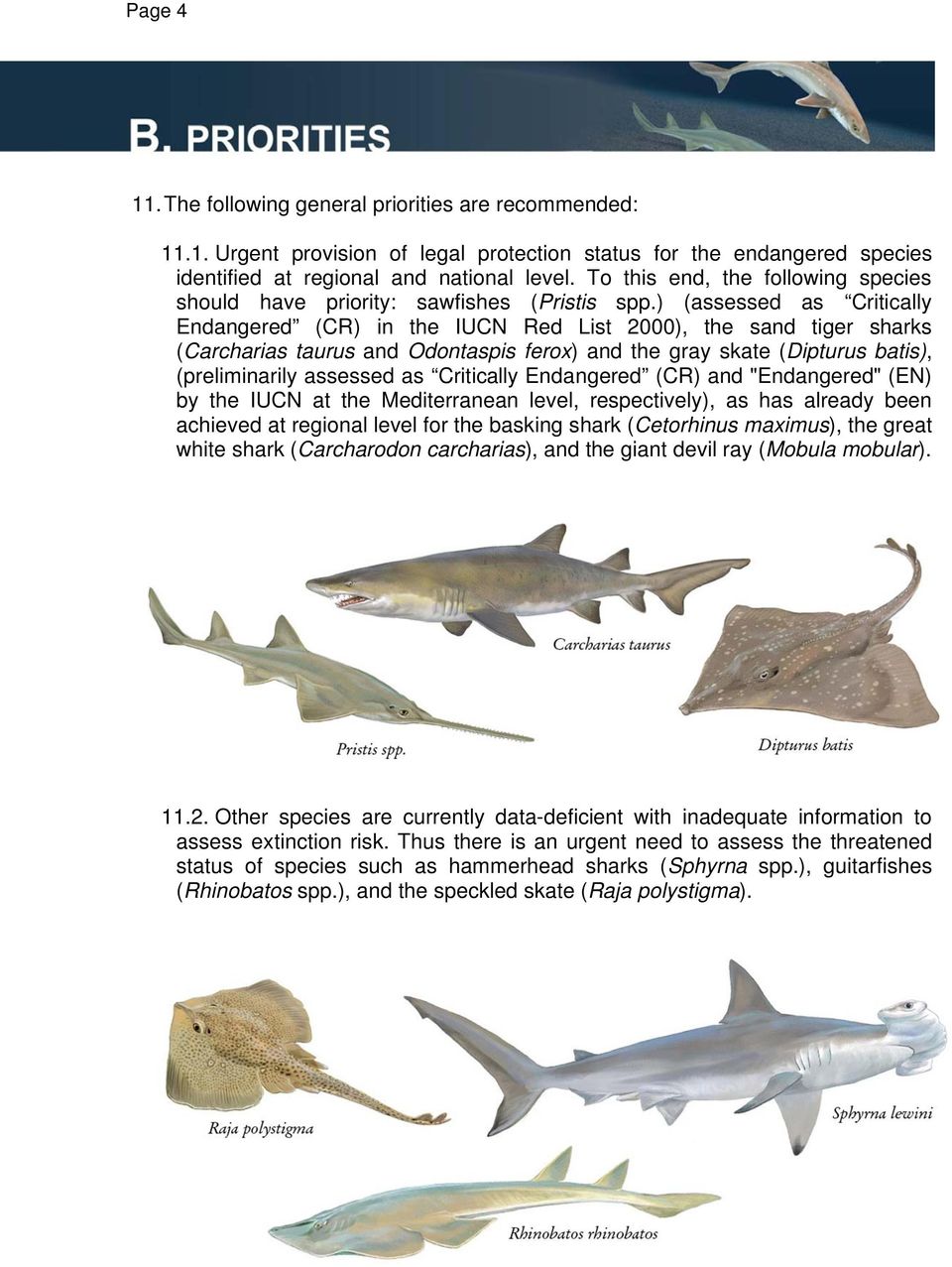 ) (assessed as Critically Endangered (CR) in the IUCN Red List 2000), the sand tiger sharks (Carcharias taurus and Odontaspis ferox) and the gray skate (Dipturus batis), (preliminarily assessed as