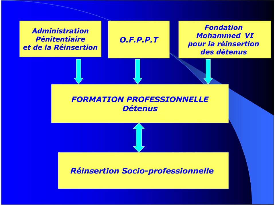 P.T Fondation Mohammed VI pour la réinsertion