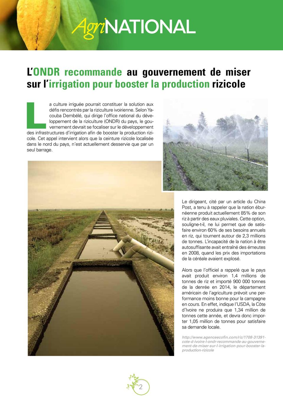 Selon Yacouba Dembélé, qui dirige l office national du développement de la riziculture (ONDR) du pays, le gouvernement devrait se focaliser sur le développement des infrastructures d irrigation afin