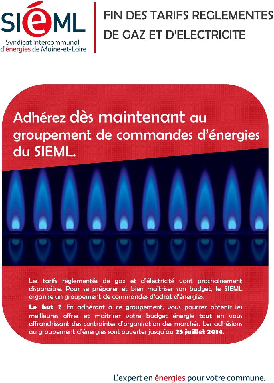 Pour se préparer et bien maîtriser son budget, le SIEML organise un groupement de commandes d achat d énergies. Le but?