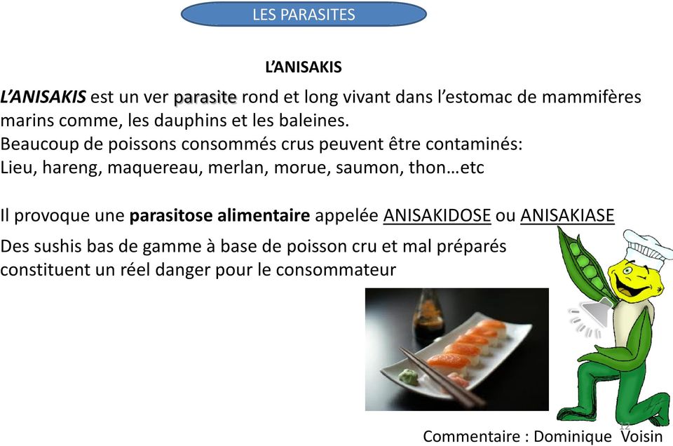 Beaucoup de poissons consommés crus peuvent être contaminés: Lieu, hareng, maquereau, merlan, morue, saumon, thon etc Il