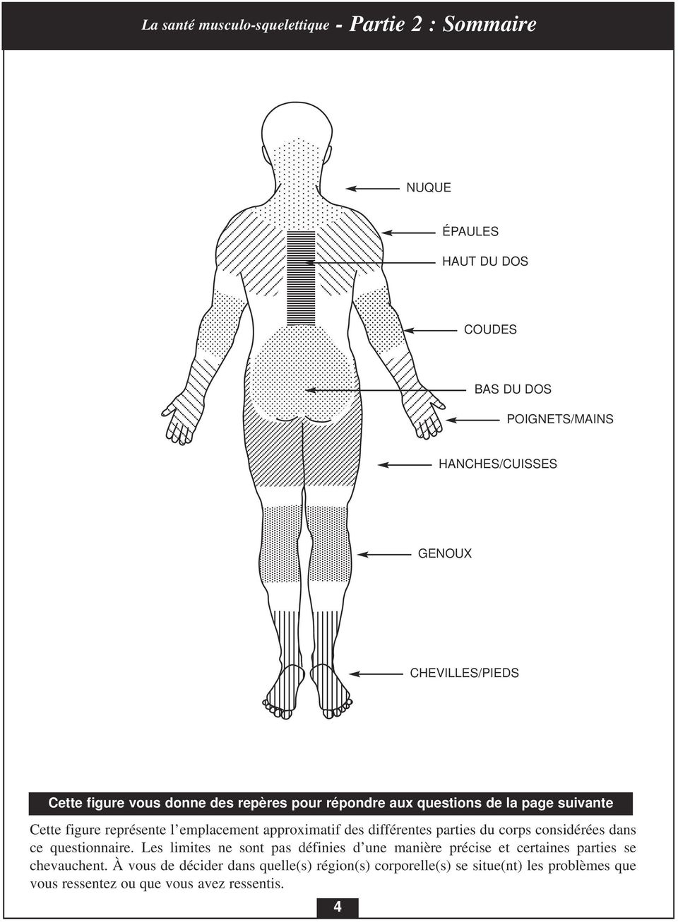 approximatif des différentes parties du corps considérées dans ce questionnaire.