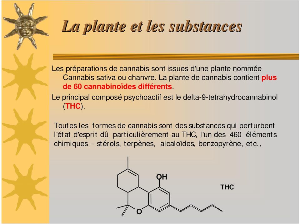 Le principal composé psychoactif est le delta-9-tetrahydrocannabinol (THC).