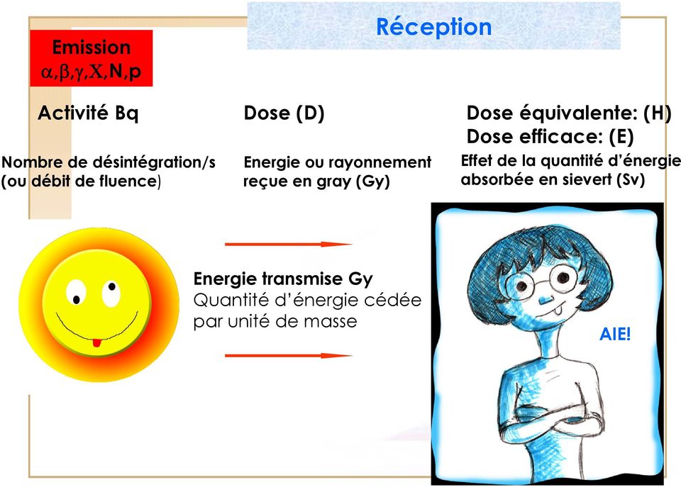équivalente: (H) Dose efficace: (E) Effet de la quantité d énergie absorbée