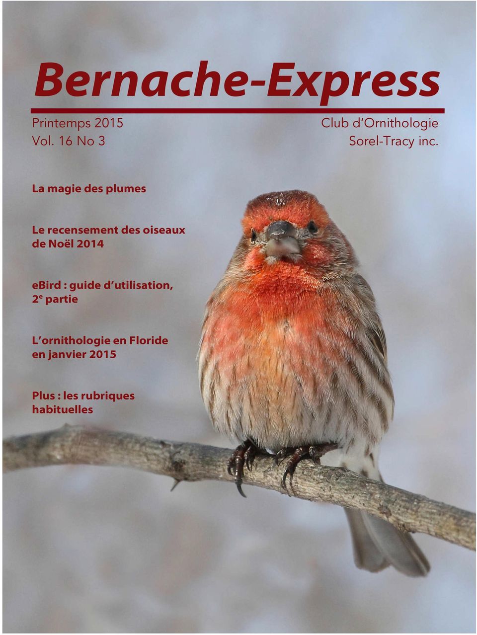 Noël 2014 ebird : guide d utilisation, 2e partie L