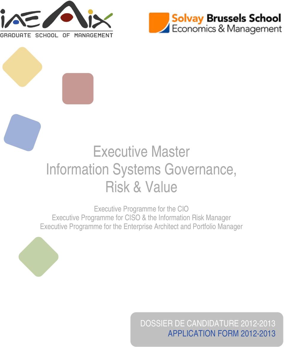 Information Risk Manager Executive Programme for the Enterprise