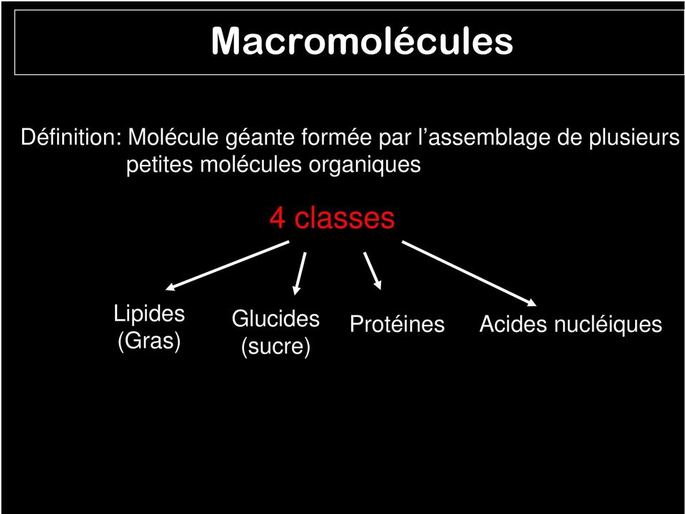 molécules organiques 4 classes Lipides