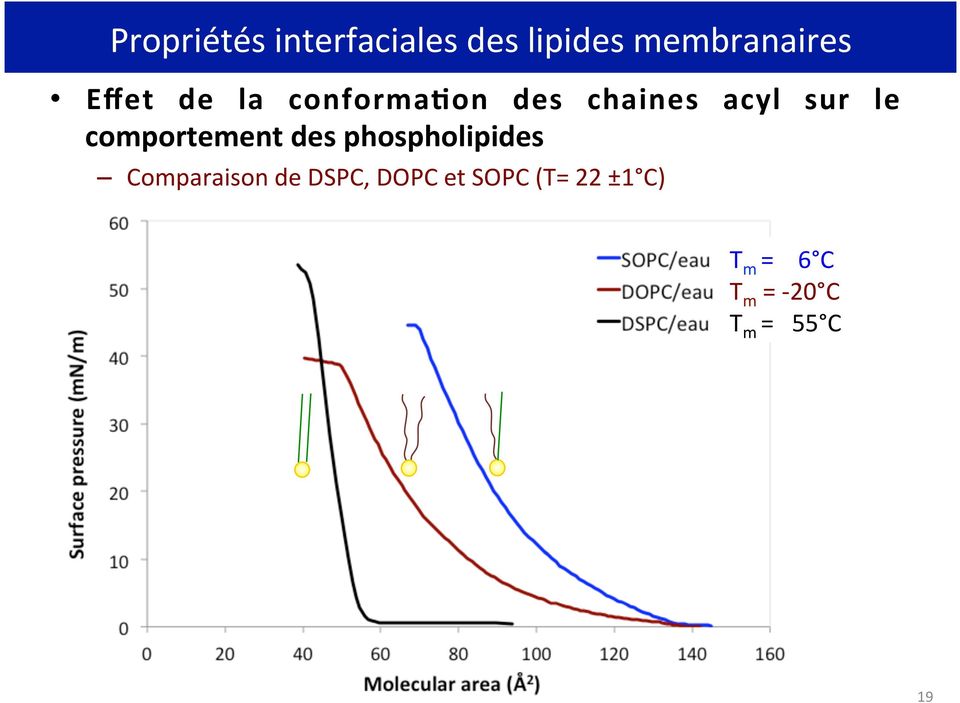 comportement des phospholipides Comparaison de DSPC,
