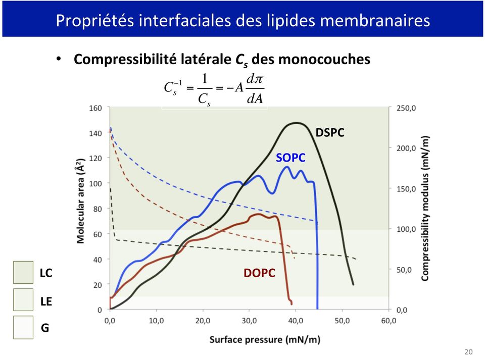 monocouches Comparaison de DSPC, SPC et DPC (T