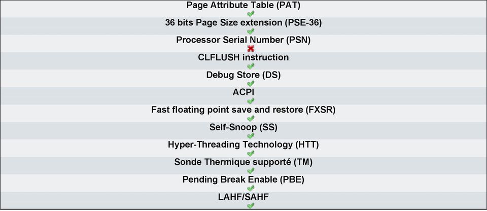 floating point save and restore (FXSR) Self-Snoop (SS) Hyper-Threading
