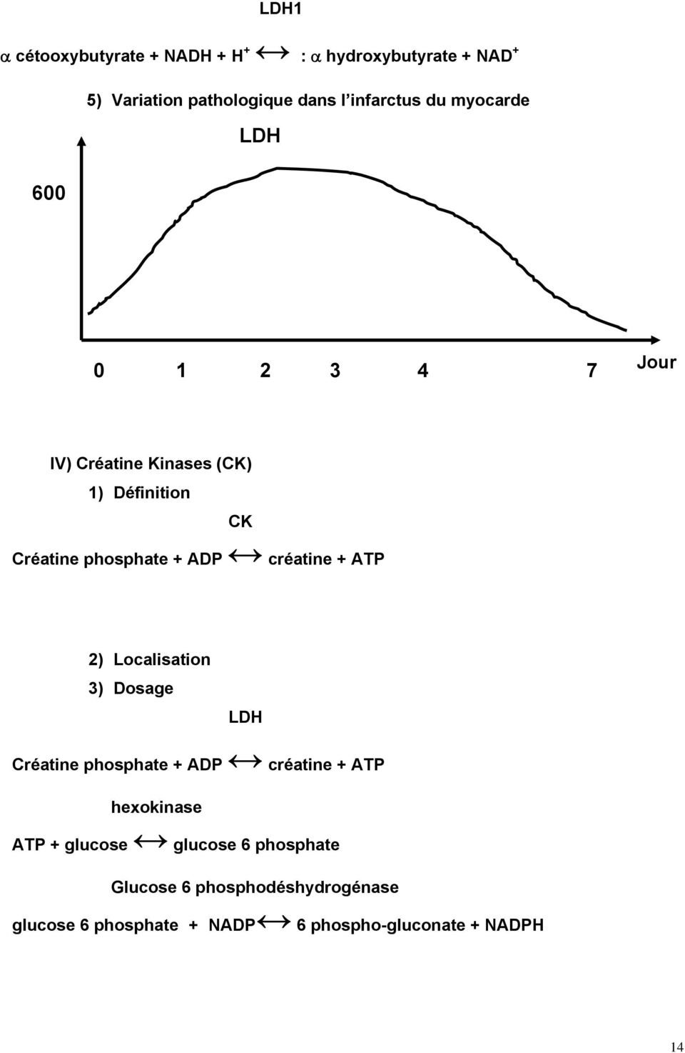 créatine + ATP 2) Localisation 3) Dosage LDH Créatine phosphate + ADP créatine + ATP hexokinase ATP +