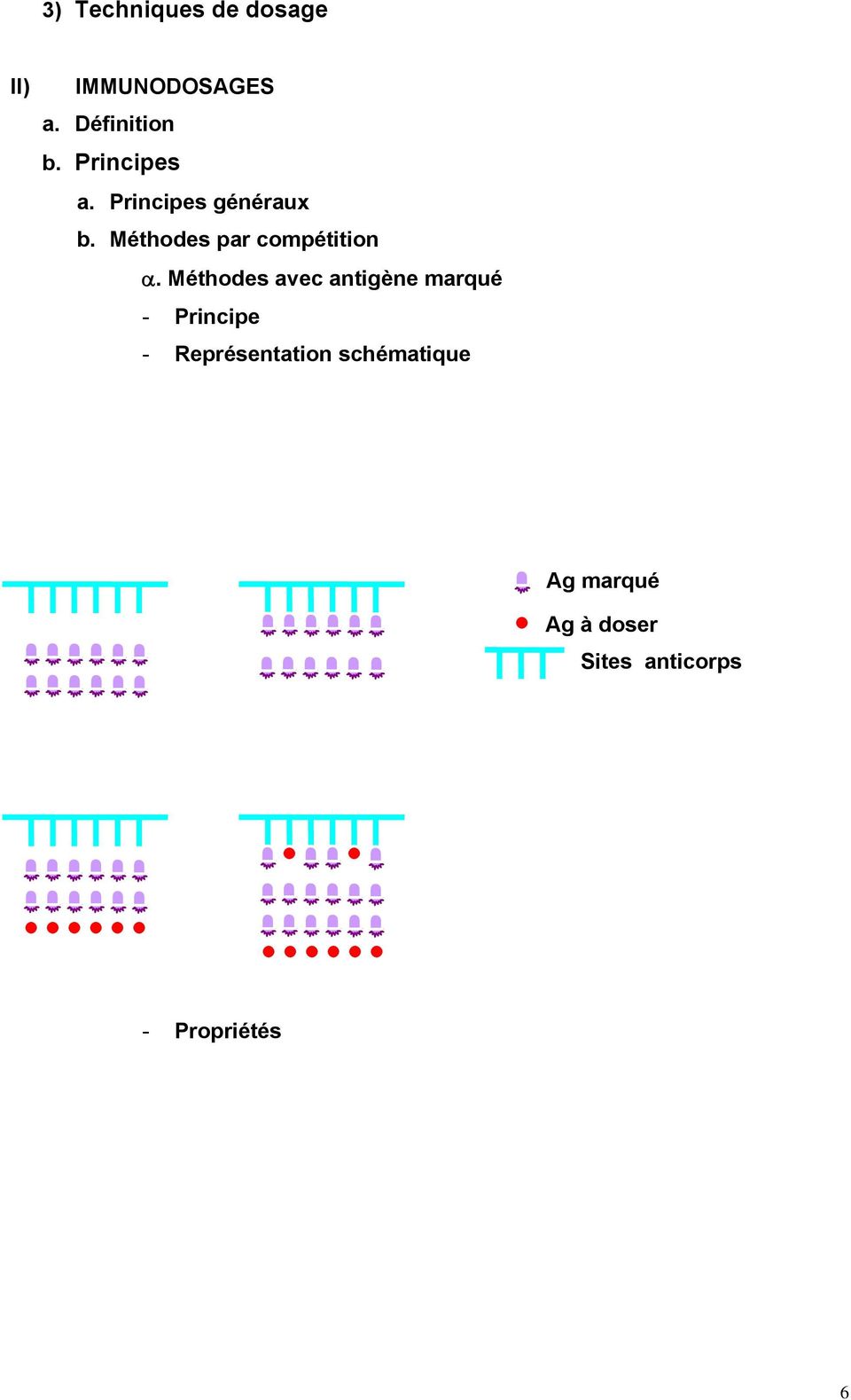 Méthodes avec antigène marqué - Principe - Représentation