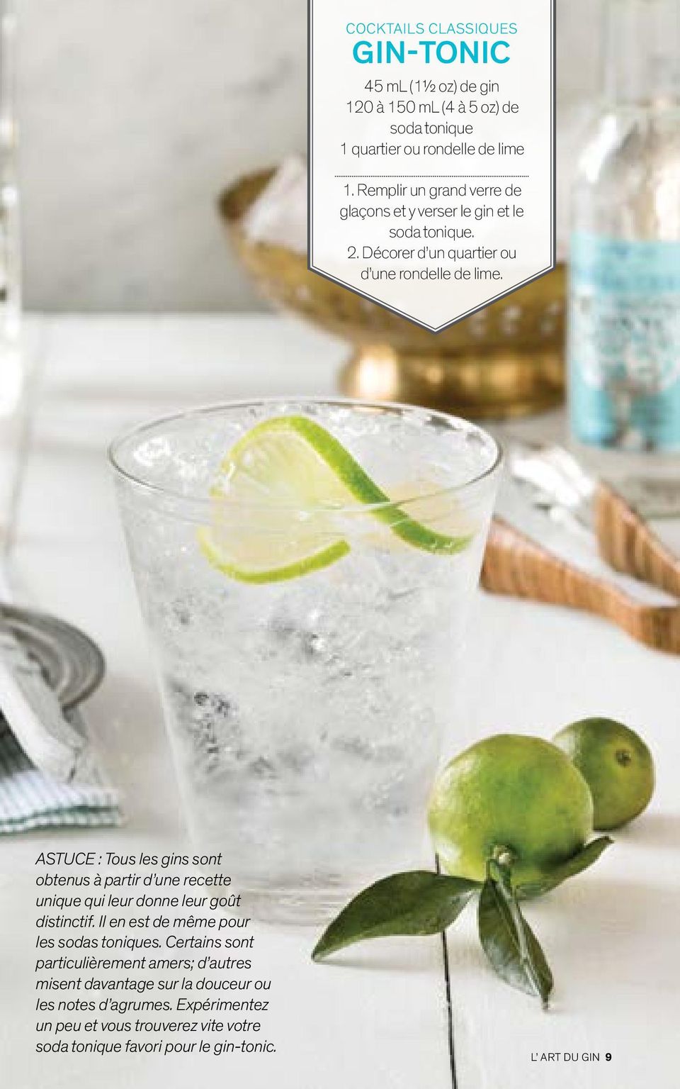 ASTUCE : Tous les gins sont obtenus à partir d une recette unique qui leur donne leur goût distinctif. Il en est de même pour les sodas toniques.