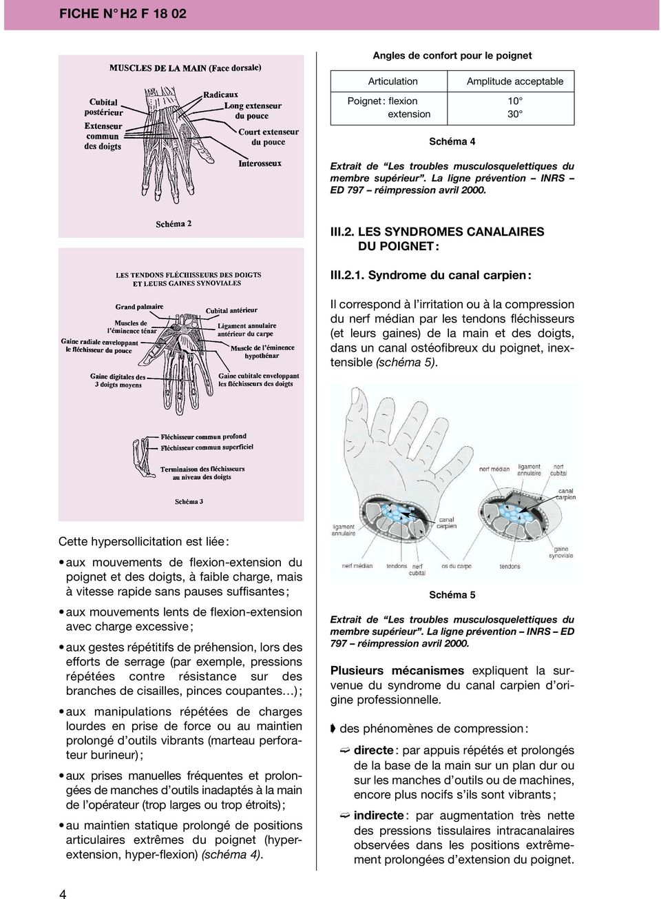 Syndrome du canal carpien : Il correspond à l irritation ou à la compression du nerf médian par les tendons fléchisseurs (et leurs gaines) de la main et des doigts, dans un canal ostéofibreux du