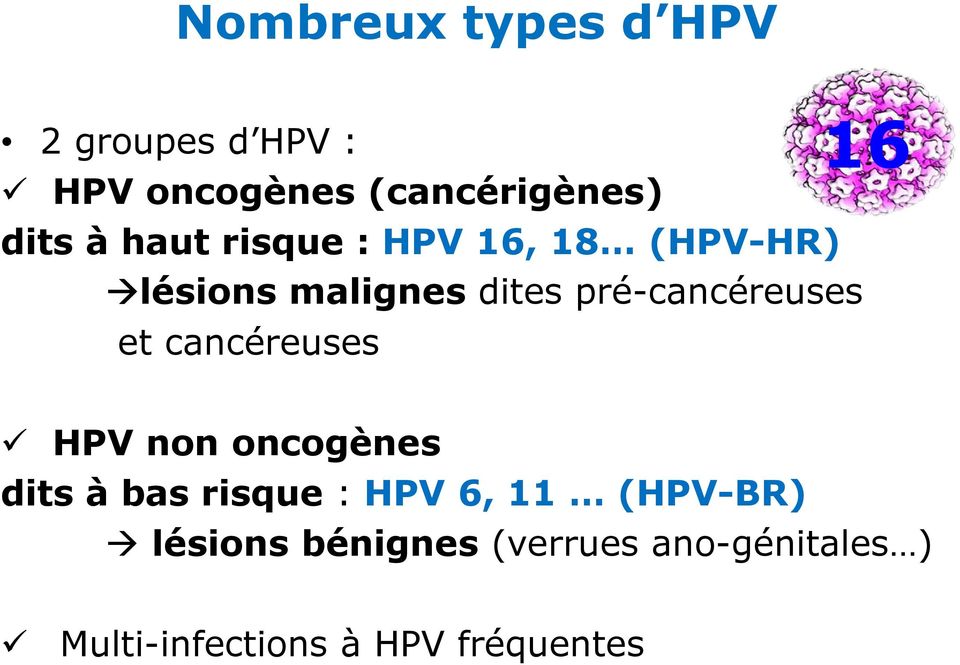 et cancéreuses 16 HPV non oncogènes dits à bas risque: HPV 6, 11 (HPV-BR)