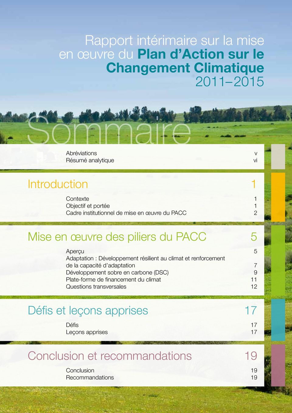 : Développement résilient au climat et renforcement de la capacité d adaptation 7 Développement sobre en carbone (DSC) 9 Plate-forme de financement du