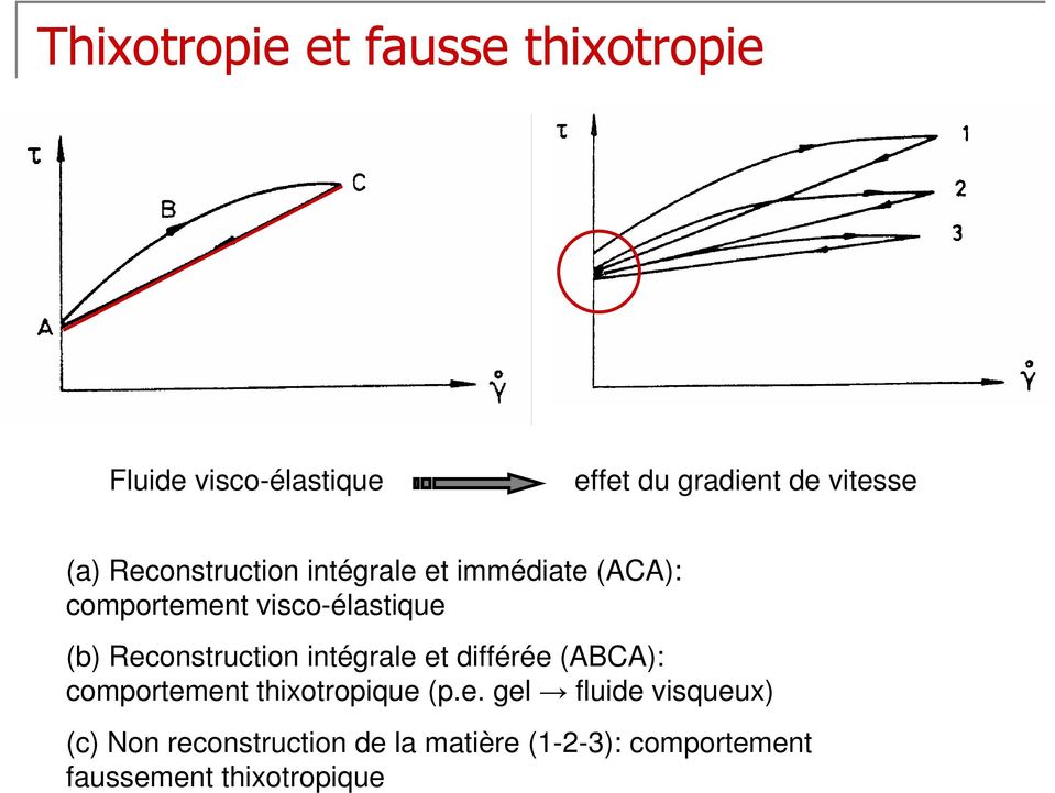 Reconstruction intégrale et différée (ABCA): comportement thixotropique (p.e. gel