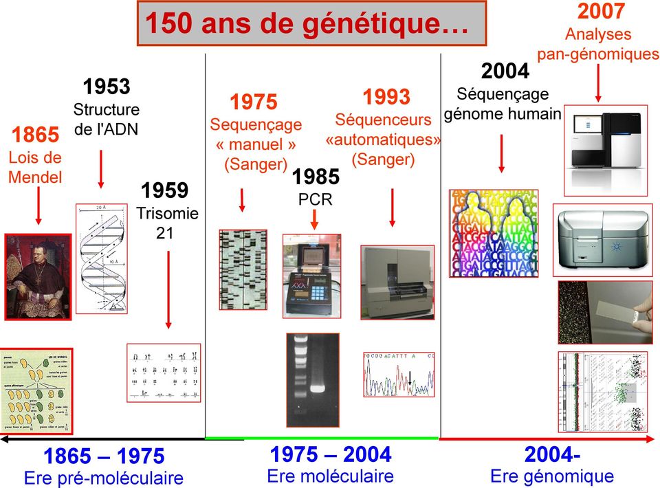 1959 Trisomie 21 1975 1993 Sequençage «manuel» (Sanger) 1985 PCR