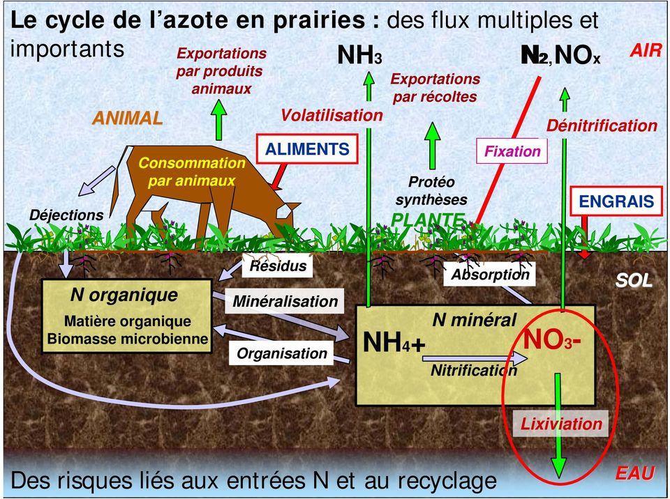 Fixation N2, NOx AIR Dénitrification ENGRAIS N organique Matière organique Biomasse microbienne Résidus