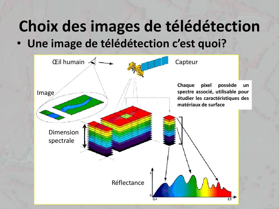 Œil humain Capteur Image Chaque pixel possède un spectre
