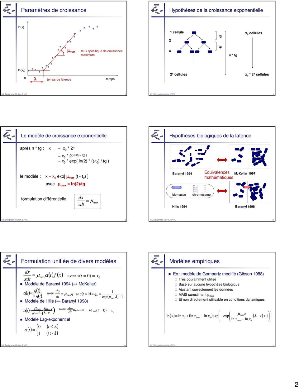 ln() * (t-t ) / tg ) le modèle : x = x exp[ µ max (t - t ) ] avec µ max = ln()/tg Baranyi 99 Equivalences McKellar 997 mathématiques formulation différentielle: dx xdt = µ max biomasse chromosome