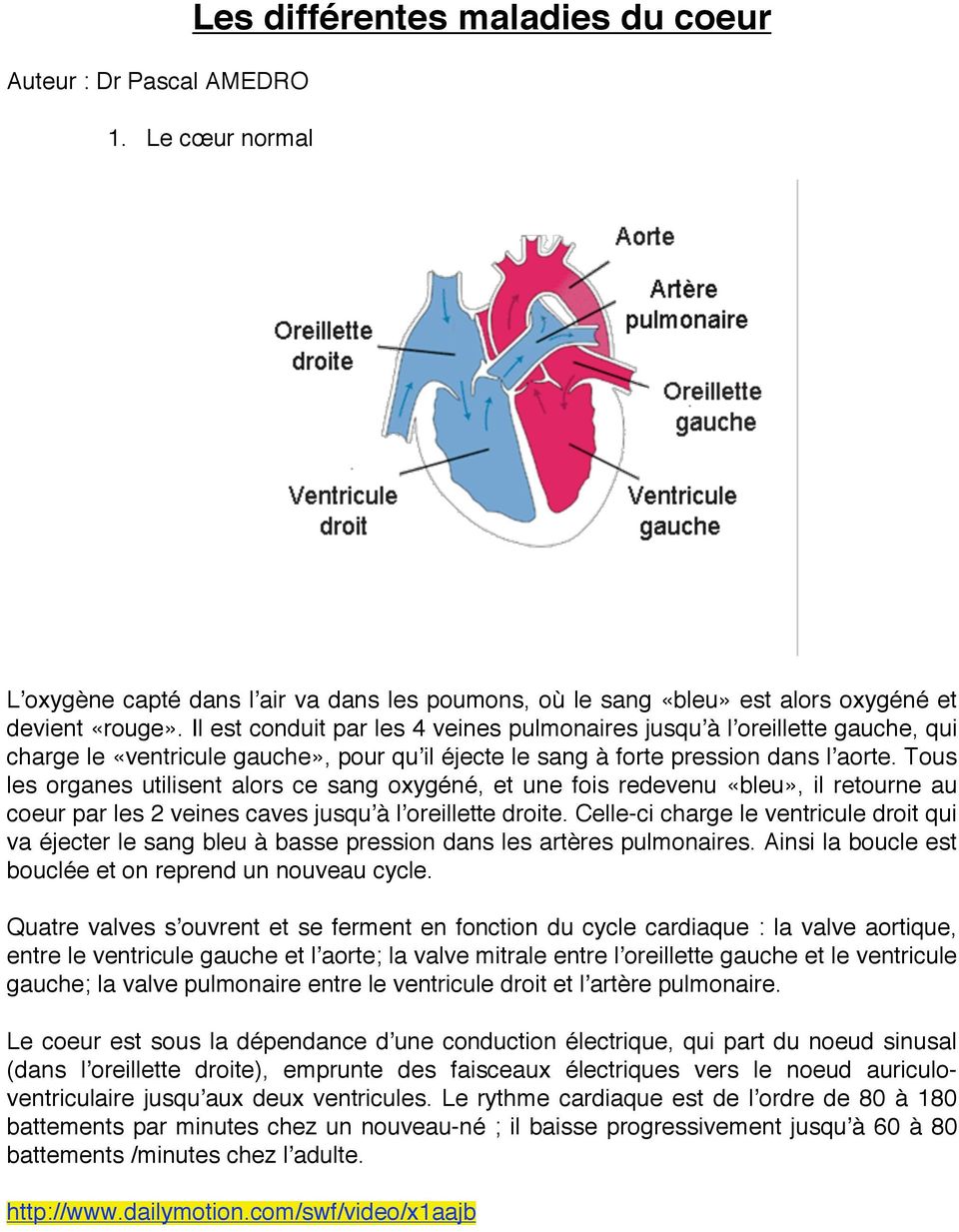 Tous les organes utilisent alors ce sang oxygéné, et une fois redevenu «bleu», il retourne au coeur par les 2 veines caves jusqu à l oreillette droite.