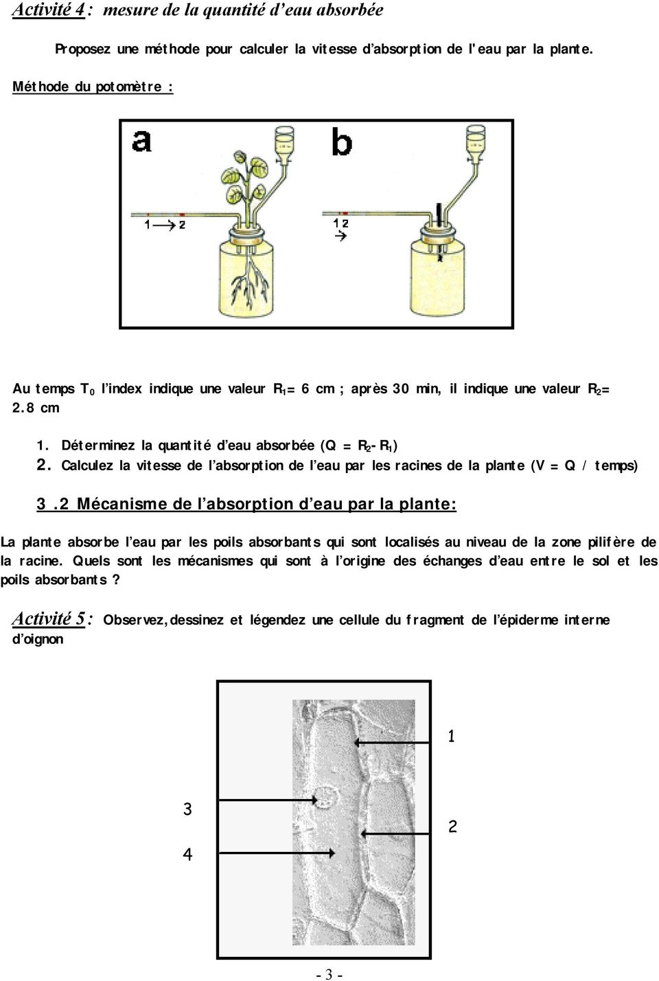 Calculez la vitesse de l absorption de l eau par les racines de la plante (V = Q / temps) 3.