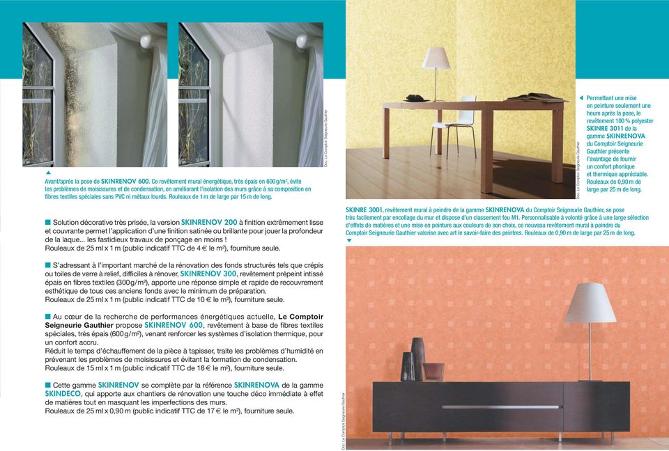 Matières à peindre SKINDECO et SKINRENOV, l innovation Comptoir Seigneurie  Gauthier - PDF Free Download