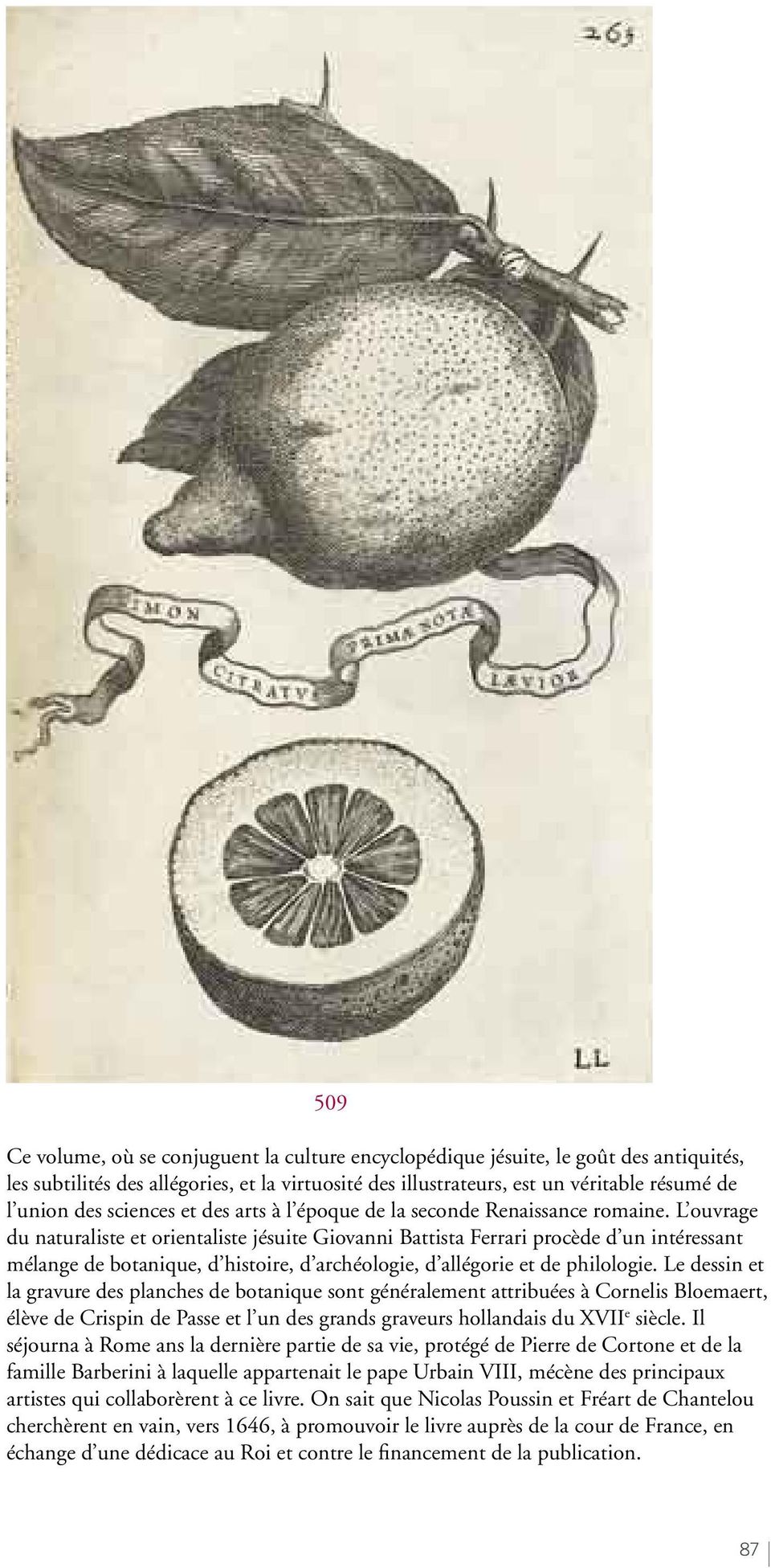 L ouvrage du naturaliste et orientaliste jésuite Giovanni Battista Ferrari procède d un intéressant mélange de botanique, d histoire, d archéologie, d allégorie et de philologie.