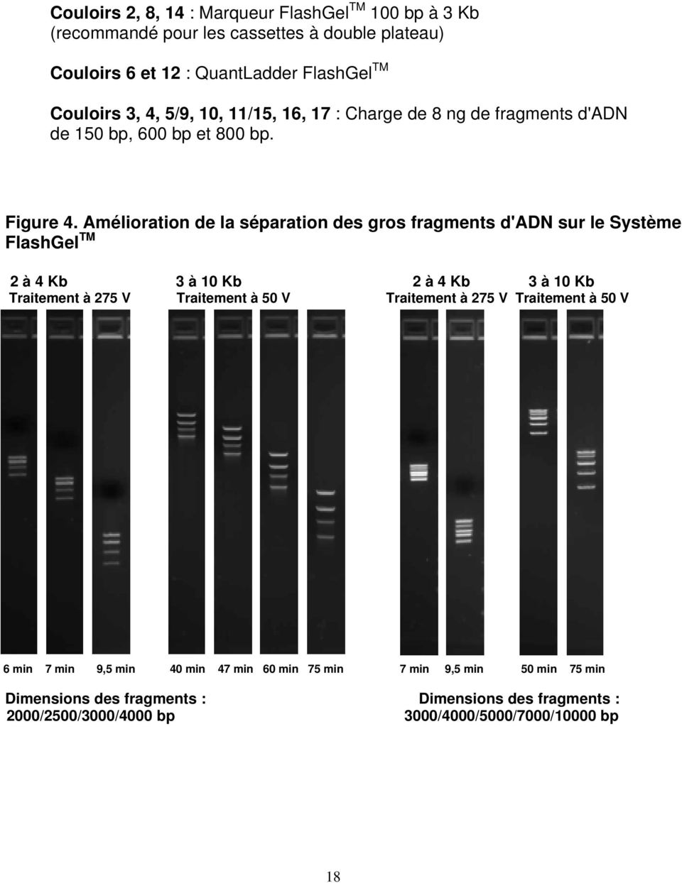 Amélioration de la séparation des gros fragments d'adn sur le Système FlashGel TM 2 à 4 Kb 3 à 10 Kb 2 à 4 Kb 3 à 10 Kb Traitement à 275 V Traitement à 50 V
