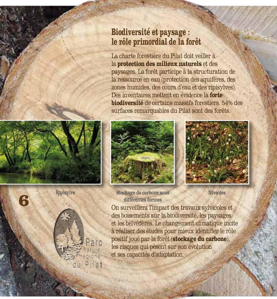 Des inventaires mettent en évidence la forte biodiversité de certains massifs forestiers. 54% des surfaces remarquables du Pilat sont des forêts.