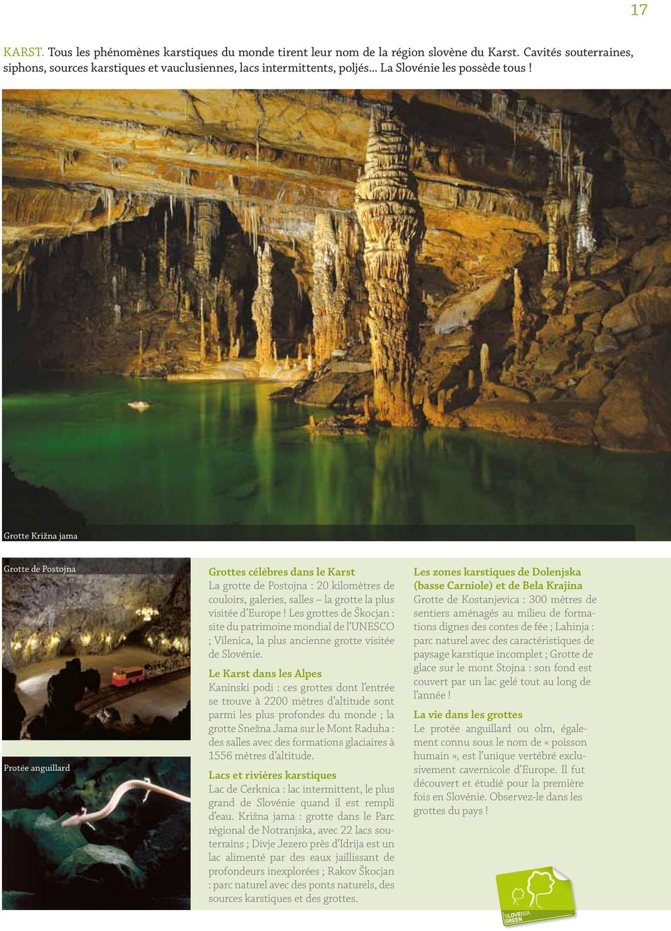 Grotte Križna jama Grotte de Postojna Protée anguillard Grottes célèbres dans le Karst La grotte de Postojna : 20 kilomètres de couloirs, galeries, salles la grotte la plus visitée d Europe!