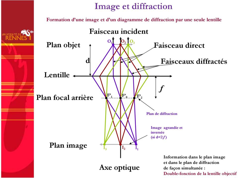 Faisceaux diffractés ƒ Plan de diffraction Image agrandie et inversée (si d<2ƒ) Plan image I 3 I 2 I 1 Axe