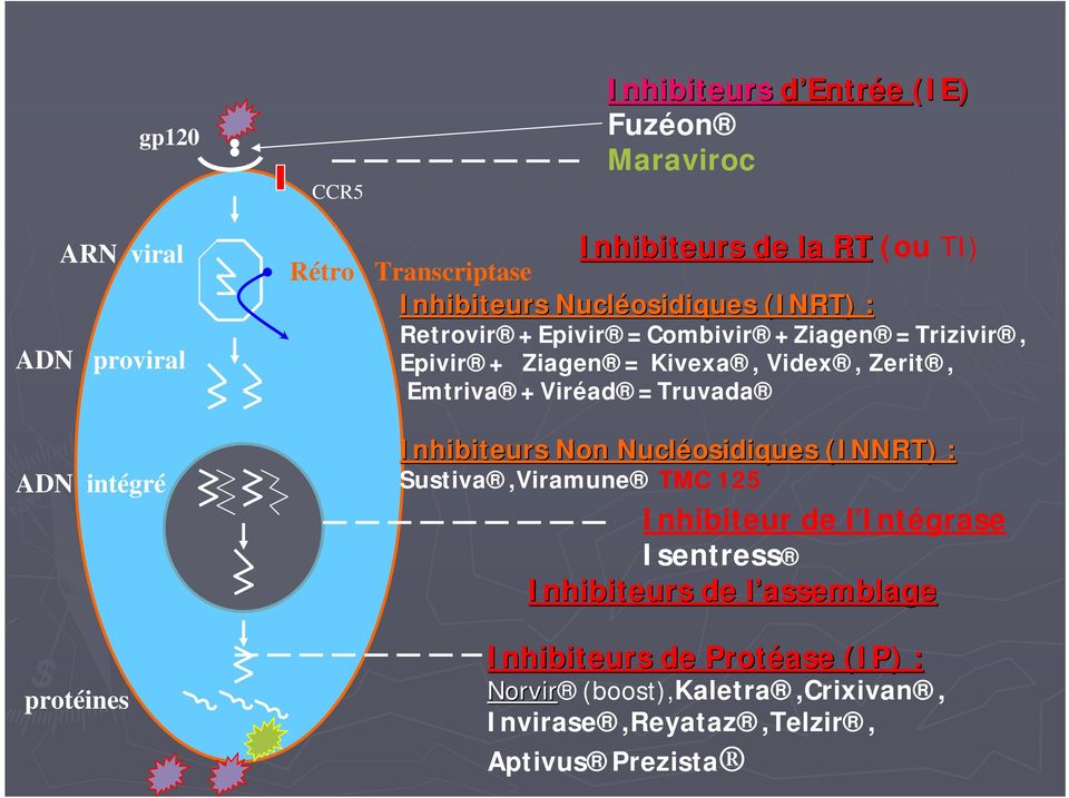 Videx, Zerit, Emtriva +Viréad =Truvada Inhibiteurs Non Nucléosidiques (INNRT) : Sustiva,Viramune TMC 125 Inhibiteur de l Intégrase
