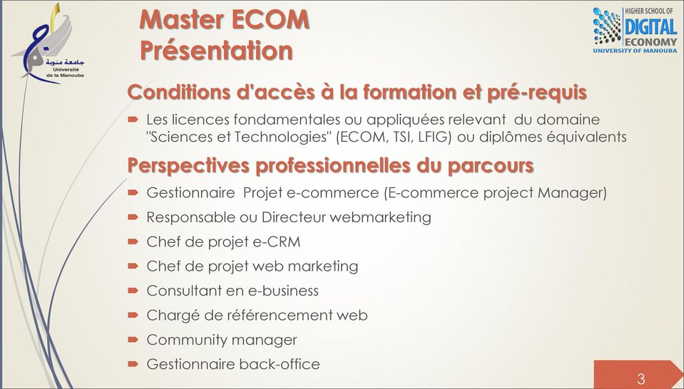 Gestionnaire Projet e-commerce (E-commerce project Manager) Responsable ou Directeur webmarketing Chef de projet e-crm